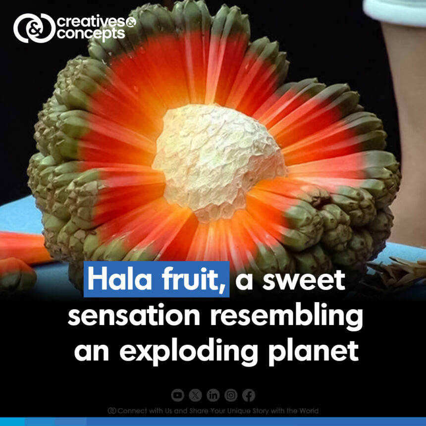 hala fruit Southeast Asia