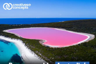 australia pink lake