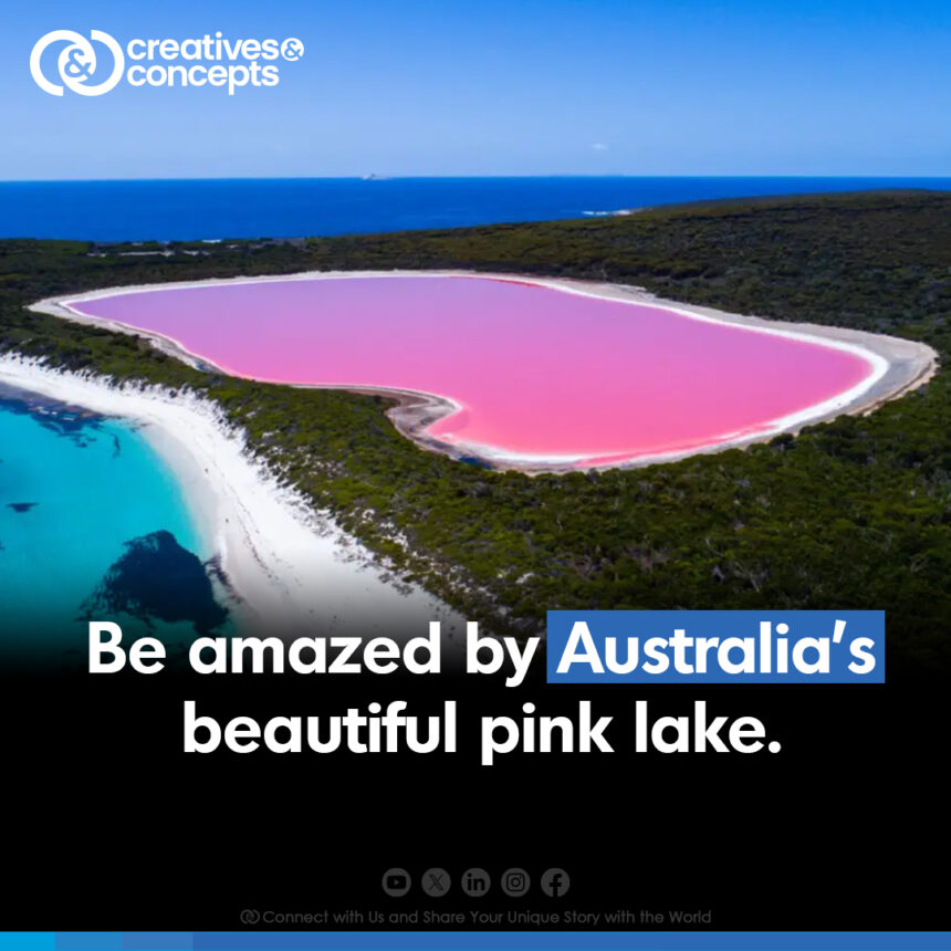 australia pink lake