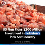 American firm, Miracle Saltworks Himalayan Pink Salt