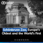 Schönbrunn Zoo