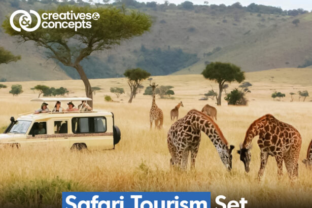 safari tourism