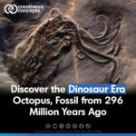 Discover the Dinosaur Era Octopus, Fossil from 296 Million Years Ago