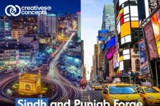 Sindh and Punjab Forge Sister State Relationship with New York