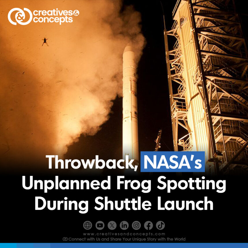 Throwback, NASA's Unplanned Frog Spotting During Shuttle Launch