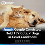 French Couple Convicted, Held 159 Cats, 7 Dogs in Cruel Conditions