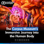 The Corpus Museum Immersive Journey into the Human Body