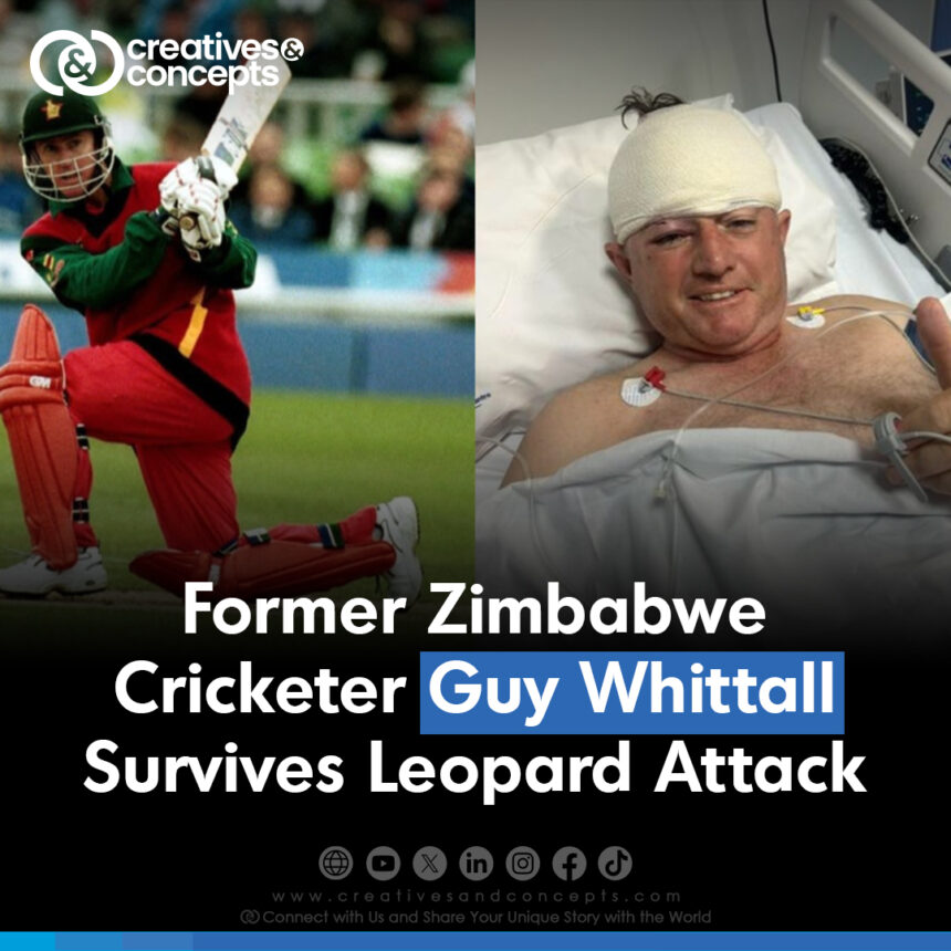 Former Zimbabwean cricketer Guy Whittall survives Leopard Attack